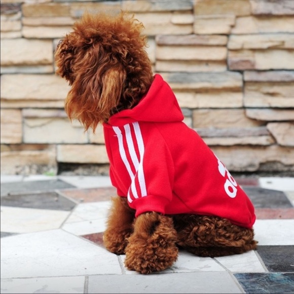 adidas Other - 1hr sale! Adidas jacket for dogs